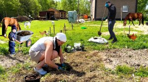 Жизнь в селе. Снова переезд. Посадки в огороде. Покрасили курятник и конюшню. Доски под террасу
