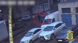 Житель Липецка задержан полицией за содействие обману семьи участника специальной военной операции