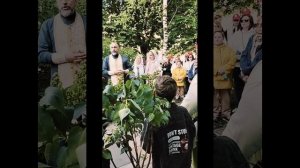 Аллея памяти фронтовых медицинских сестёр в Бескудниково.20.05.2025 г.