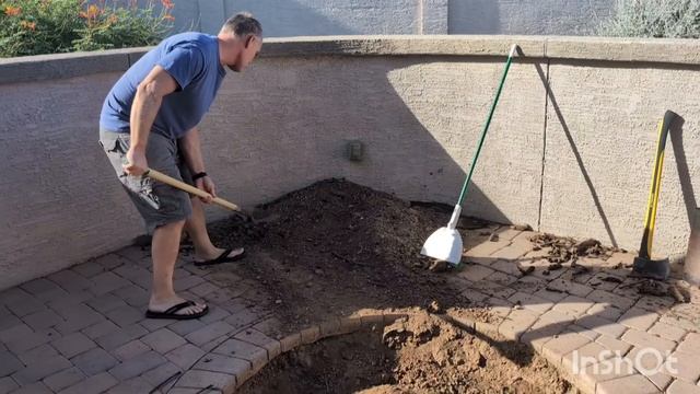 Черный перец не выжил... смотреть онлайн