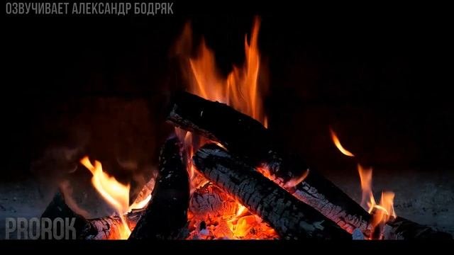 ОН ПОЯВИТСЯ В ДАЛЬНЕМ УГЛУ ПОДВАЛА. Страшные истории н