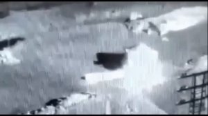 БелАЗ раздавил УАЗик с людьми в Качканаре! Водитель и ?