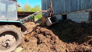 Погрузка навоза самодельным погрузчиком на заднюю на?