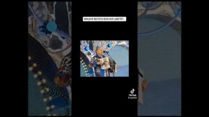 Группа садко