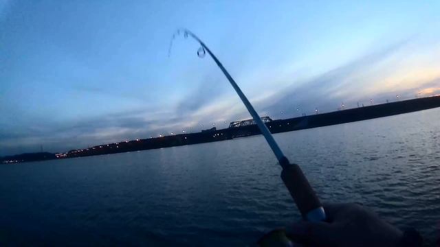 Бердск. Судак под мостом отошёл пошёл окунь на пляже возле Ремикса.