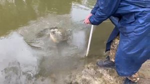 21.05.25 г. Парк отдыха водопад