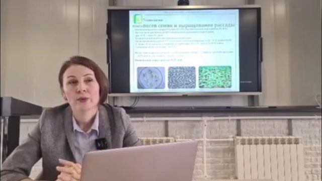 НЕ СПЕШИТЕ высаживать рассаду огурца! Три холодостойк смотреть онлайн