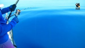 Морская рыбалка. Fish travel travel expert Михаил Карпович ( Mikhail Karpovich )