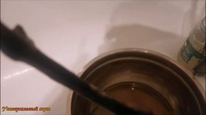 Появление плесени на черенках винограда и как с ней бо