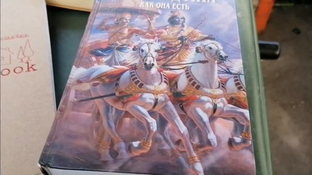 Как я зарабатываю лазая по мусоркам Питера? Часть 182 Dump смотреть онлайн