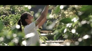 Отель Furaveri official video 2018