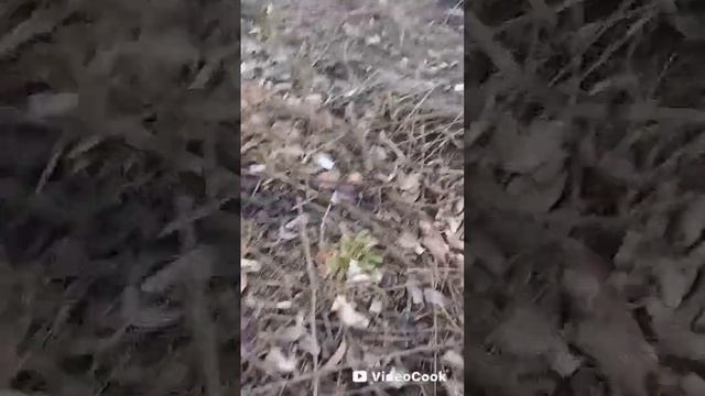 28 марта 2025 г. смотреть онлайн