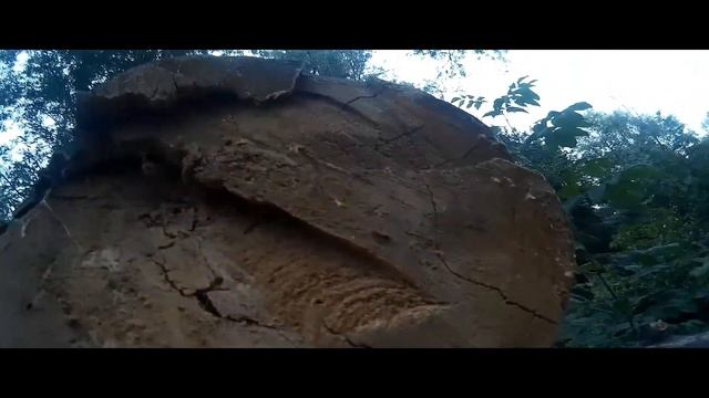 Пейнтбол в Балаково. Почти реклама ТОП ГАНа. смотреть онлайн