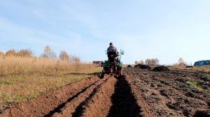 Самодельный минитрактор , нарезал гребни под Чеснок ?