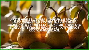 Семь причин есть ГРУШИ регулярно