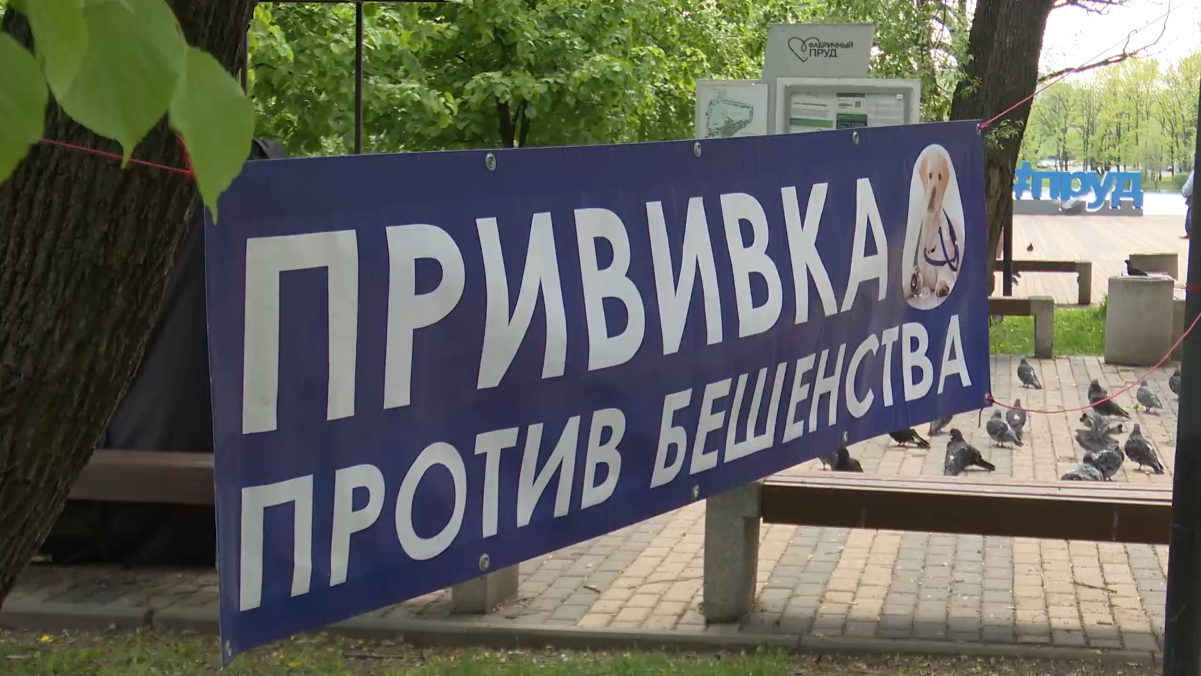 В парке «Фабричный пруд» Реутова прошла бесплатная вакцинация домашних животных 20.05.2025