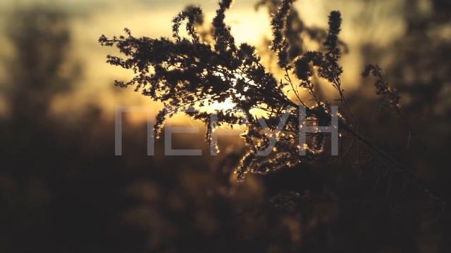 🔴#Бог є один і множествен