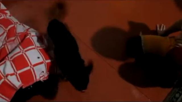 Танец "Червяка" смотреть онлайн