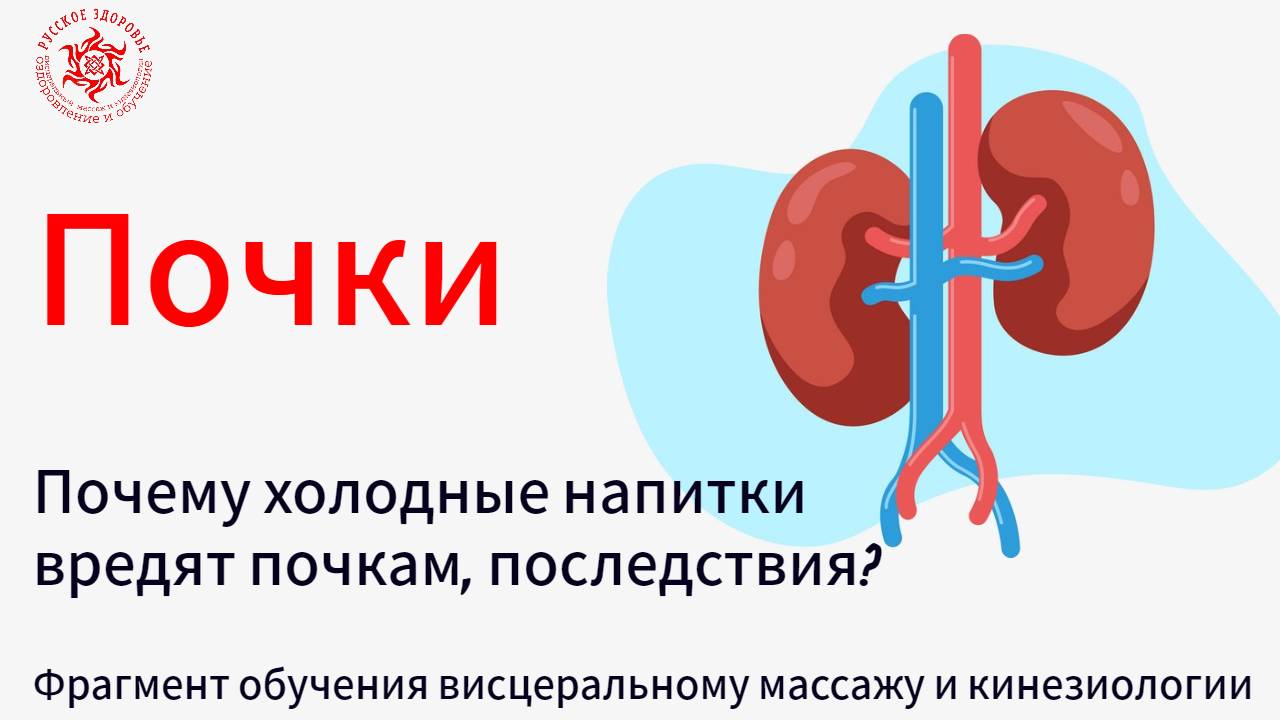 Почки. Почему холодные напитки вредят почкам, последствия? Фрагмент обучения