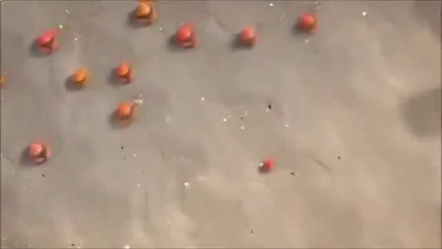 прикольные мультфильмы смотреть онлайн