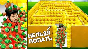 ЛАБИРИНТ ИЗ ШАРИКОВ VS ЧЕЛОВЕК В КАКТУСАХ