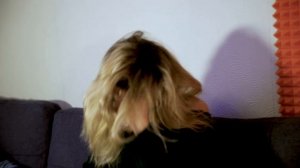 Евгения Липская Визитка