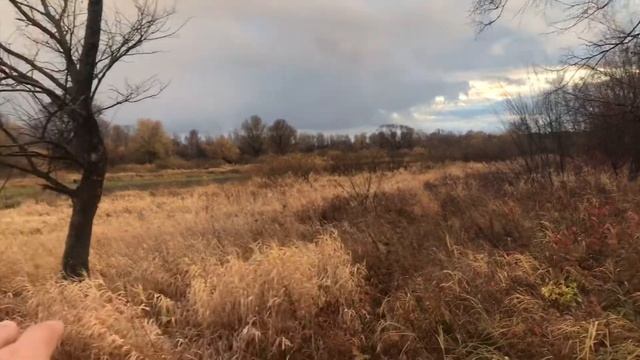 Мопед Вега ретро или Хонда реплика. Дубасим смотреть онлайн