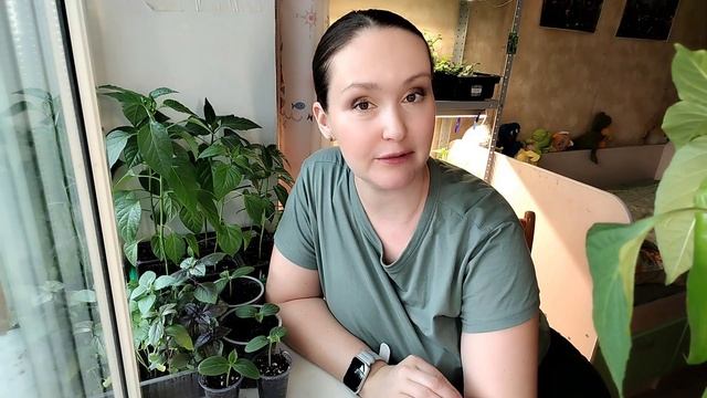 Огурцы: секреты выбора и выращивания | Все о сортах и г? смотреть онлайн