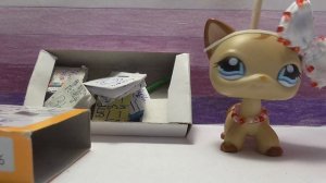 LPS: Моя коллекция аксессуаров для петов