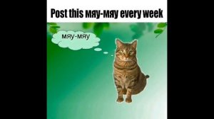 Черемша-ОТКУДА МЕМ + Post this мяу мяу every week-ОТКУДА МЕМЫ