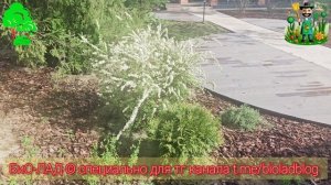 Стартуем новый объект. Часть 1
