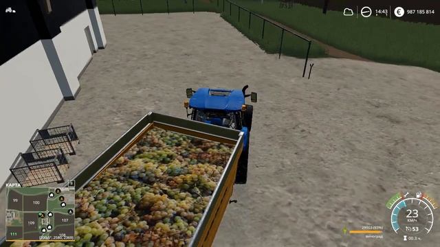 виноград-супермаркет,альктрих смотреть онлайн