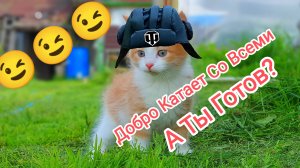 Добро Катает Со Всеми_А Ты Готов К Бою ?  Tanks Blitz Танкиблиц Танки Блиц Танк Блитз Танкс