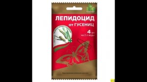 Куда подевались листья крыжовника?
