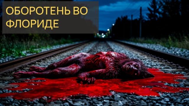 Оборотень во Флориде (Мистическая история)