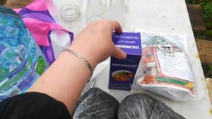 Посадка Жимолости Весной Дача Купили Заброшенную дач?