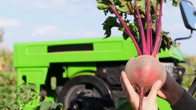 КАК С ПОМОЩЬЮ СЫРОЙ СВЕКЛЫ ПОХУДЕТЬ, вылечить болезни смотреть онлайн