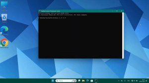 Как сбросить время работы в Windows 11