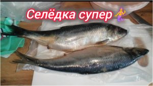 Селёдка супер! 🙃🙃🙃