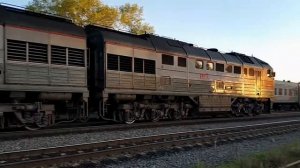 Станция Воробецкая. Скрещение пассажирских поездов. 2?