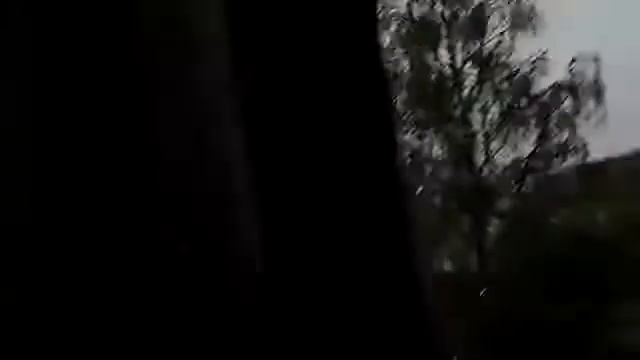 Молния жахнула в дерево Кормушка Уникальное Фото Видео Приколы Гифки смотреть онлайн