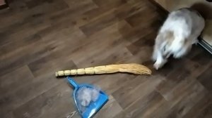 Подготовка к зиме!