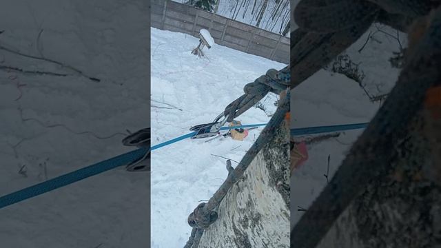 Трелëвка леса, бесконечной лебëдкой через блок-ролик.. смотреть онлайн