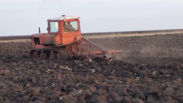 дт 75.пашня 2024г.