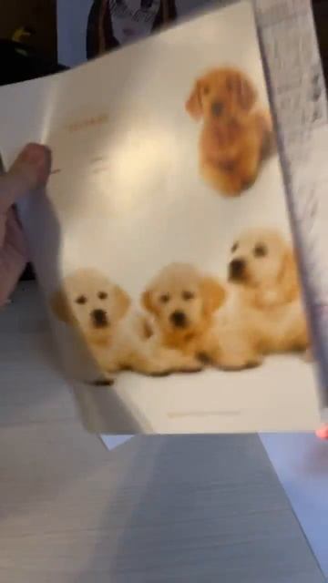 У моей подруги сегодня день рождения 🥳🫣🥴 смотреть онлайн