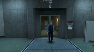 HL1 1s