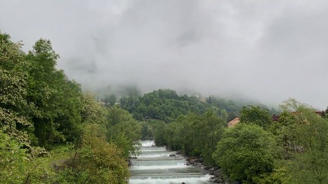 Семья из Украины в Швейцарии. Рыцари, виноград, огород.
