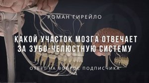 Какой участок мозга отвечает за зубо-челюстную систему