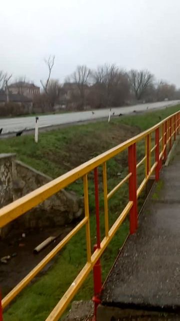Гидрометцентр по Краснодарскому краю