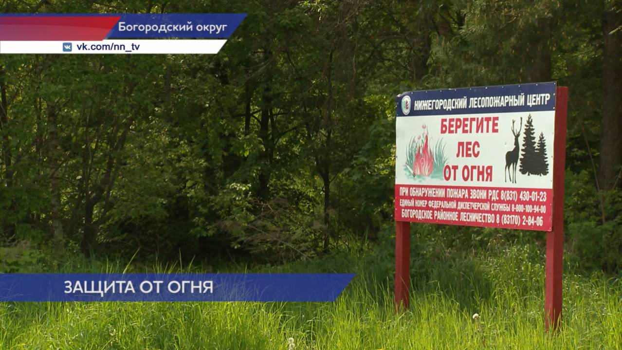 Противопожарная подготовка началась в лесах Нижегородской области